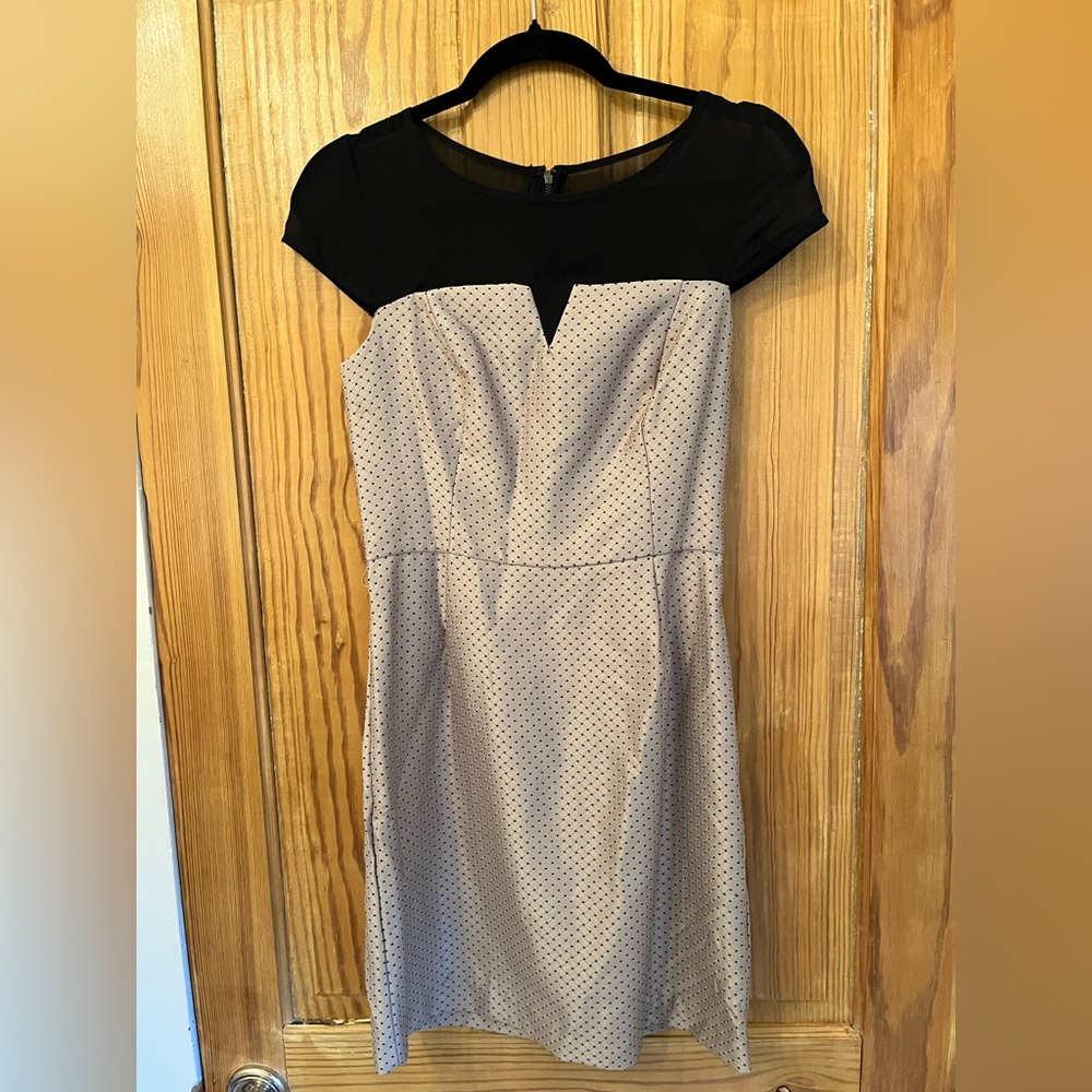 Kensie Black and Cream Midi Dress